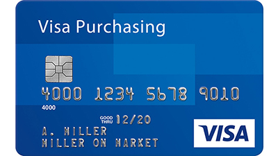 StoreFront support for visa purchasing cards